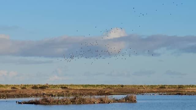 Island Hide - Image 1
