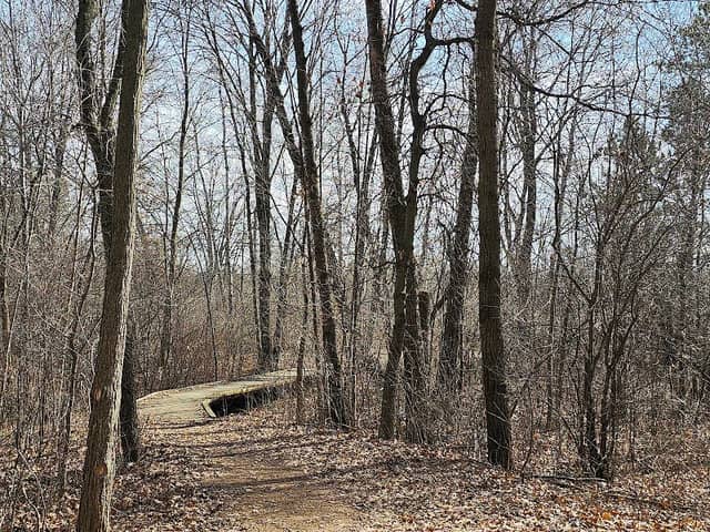 Parkdale Park - Image 2