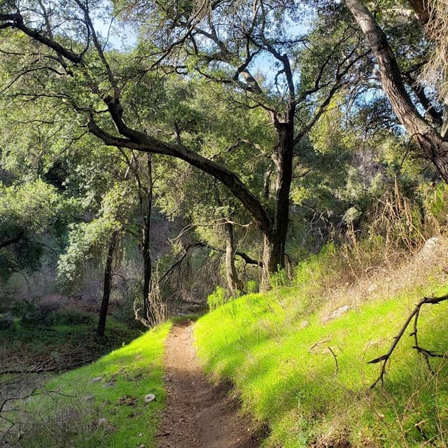 El Prieto Canyon - Image 2