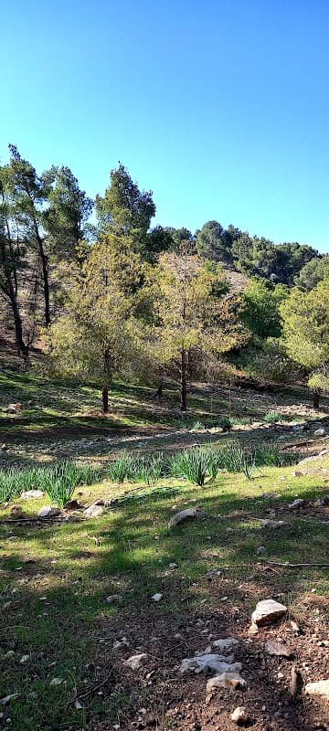 دور الفصاعمه - Image 1