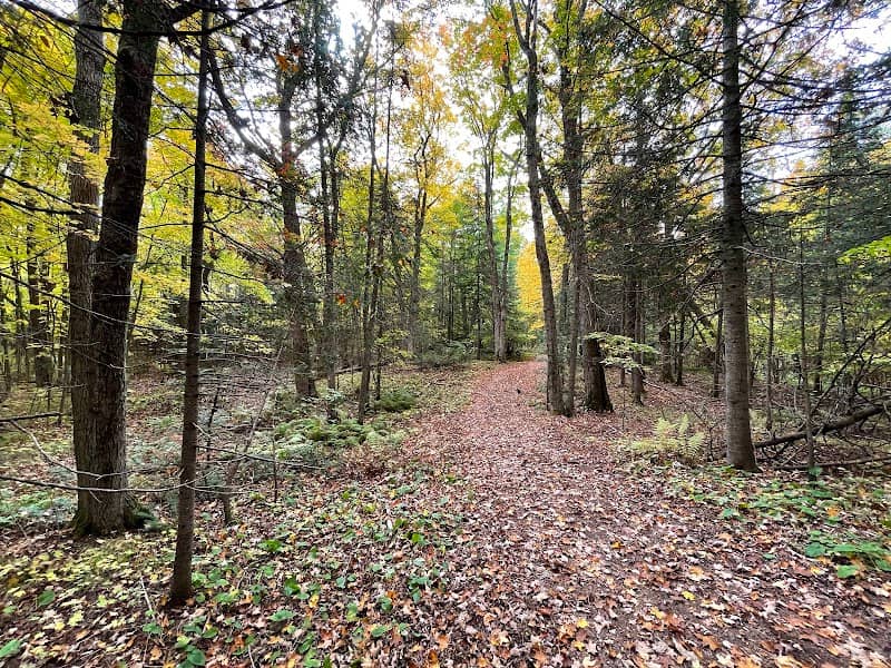 W.R. Bagley Nature Area - Image 2