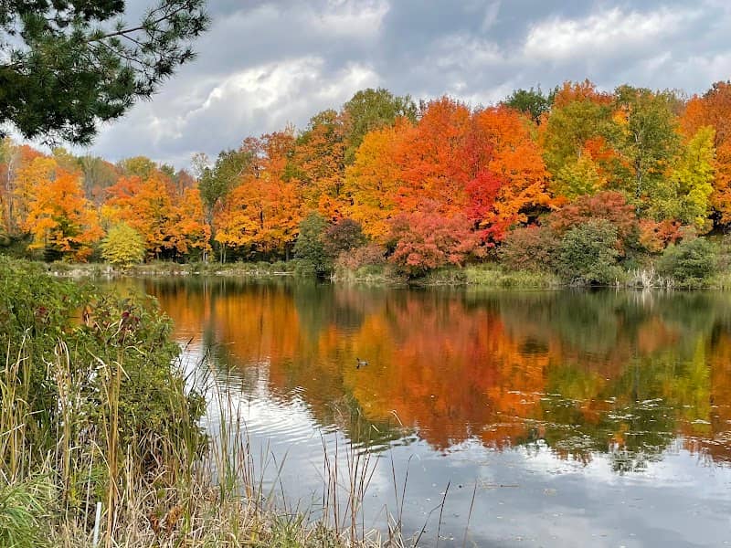 W.R. Bagley Nature Area - Image 1
