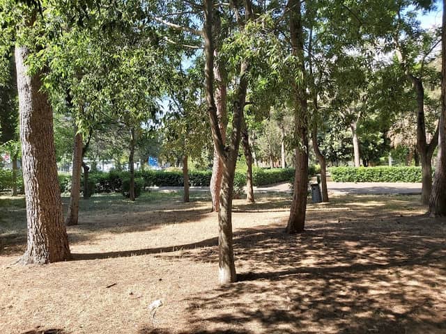 Parco Comunale Cesare Braico - Image 1