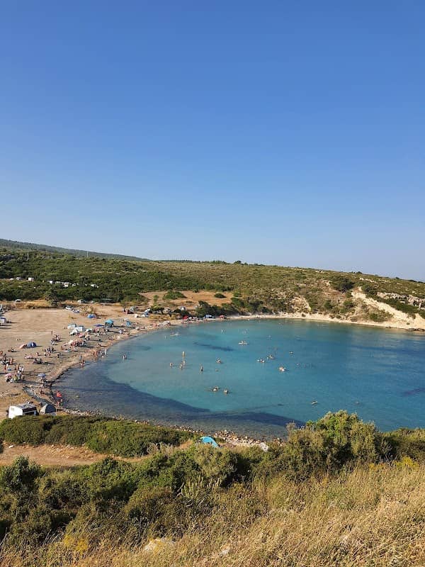 Serbest Çağrışım - Image 1