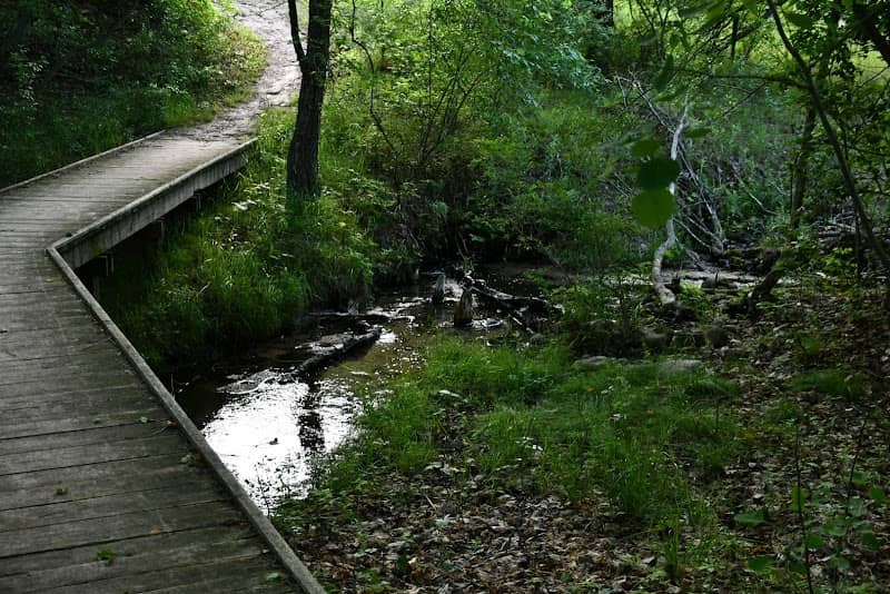 Chippewa Run Natural Area: The Leelanau Conservancy - Image 1