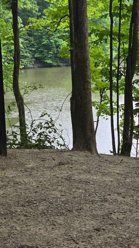 Carpenter Lake Overlook - Image 3