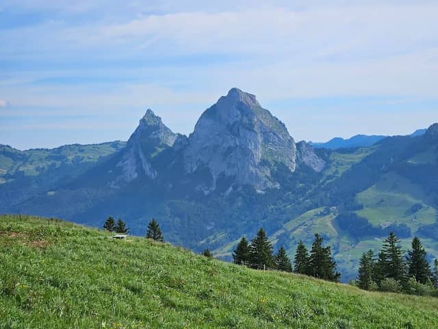 Der Pfad zum Fronalpstock - Image 3