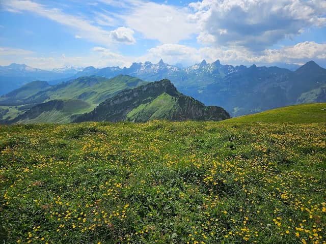 Der Pfad zum Fronalpstock - Image 2