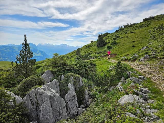 Der Pfad zum Fronalpstock - Image 1