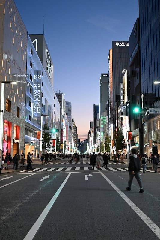 Ginza Pedestrian Paradise - Image 3