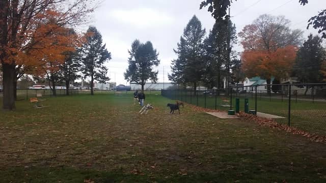 Old Depot Dog Park - Image 1