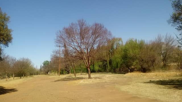 Trimpark - Image 1