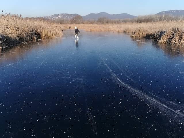Reeds Lake - Image 1