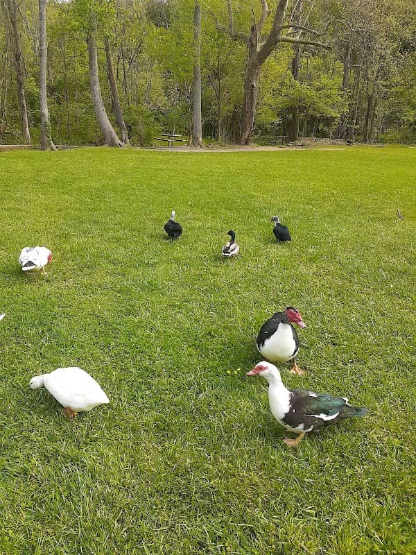 A.K. Fraley Park - Image 1