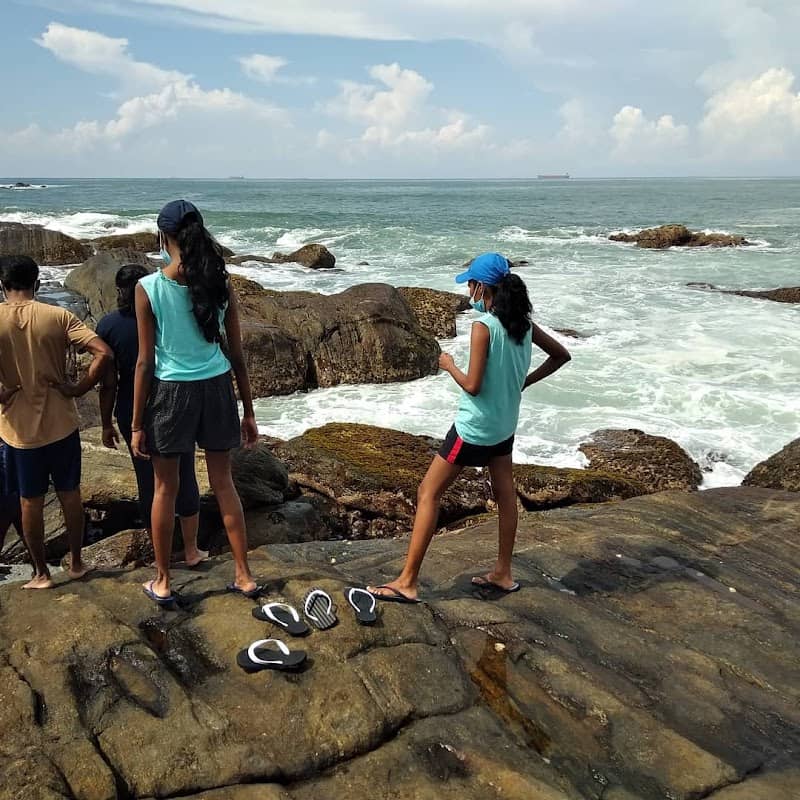 Rockpooling with Anoma - Image 1