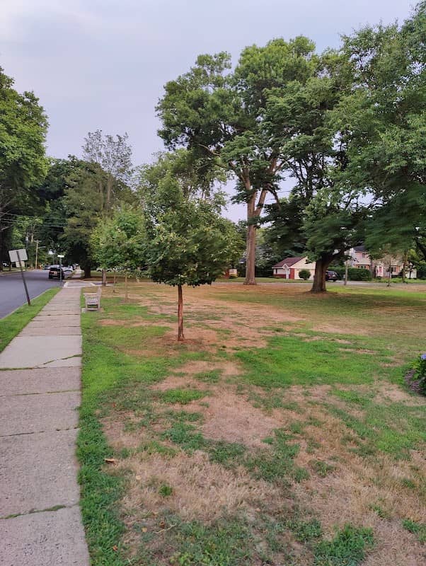Leuning Park - Image 2