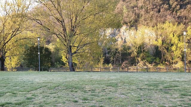 Area Cani Pontassieve - Image 1