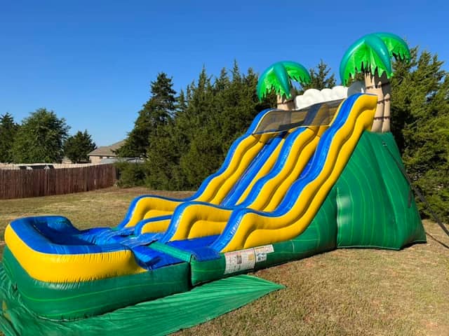 The Jumping Jelly Bean - Image 1