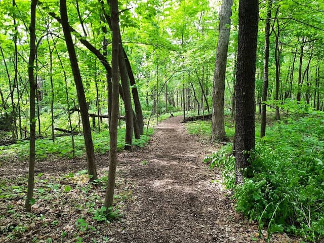 Hidden Oaks Nature Center - Image 1