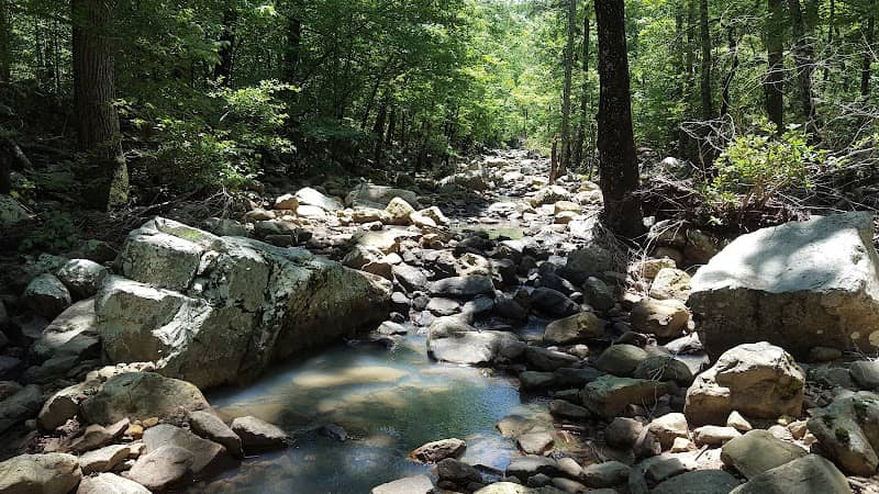 Poteau Mountain Wilderness - Image 2