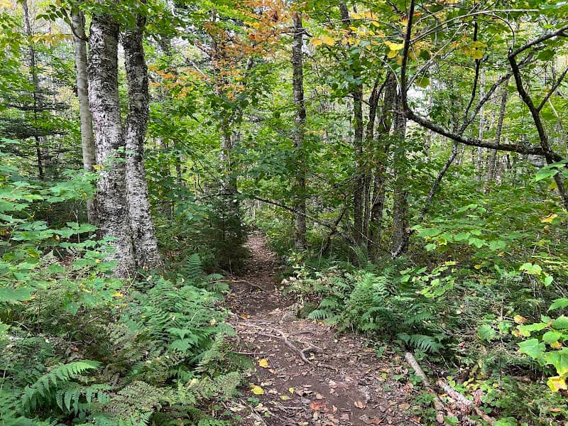 Crooked Creek Falls - Image 2