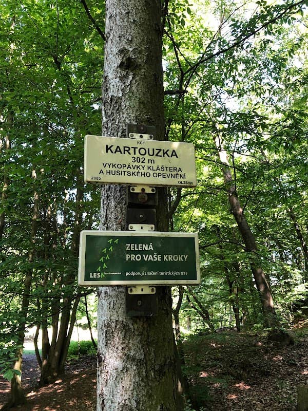 Zřícenina kláštera Kartouzka - Image 1