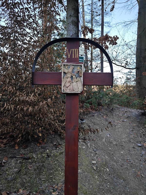 Zřícenina kláštera Kartouzka - Image 2