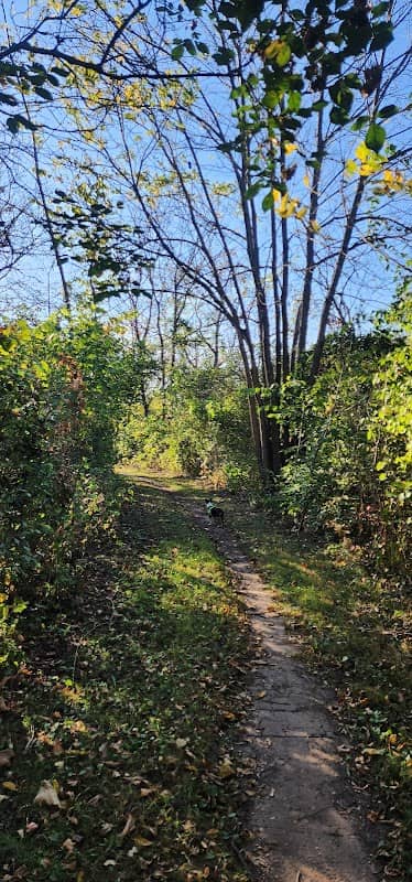 Atwood Forest Preserve - Image 1