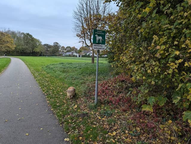 Honden uitlaatrerrein - Image 1