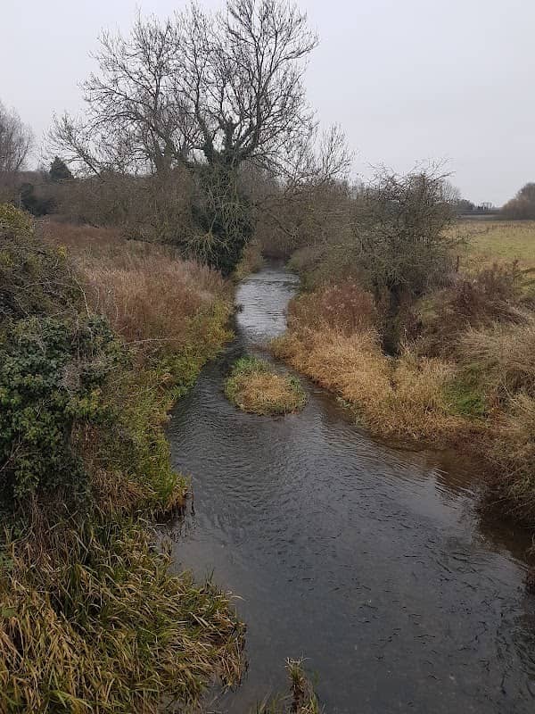 Kingsthorpe Meadow - Image 2