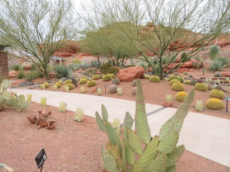 Red Hills Desert Garden - Image 3