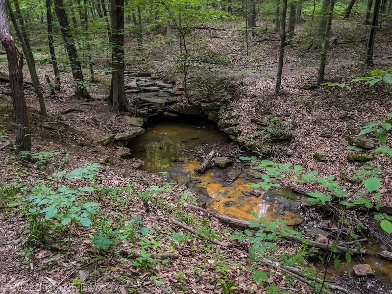 Hoggard Trail - Image 1