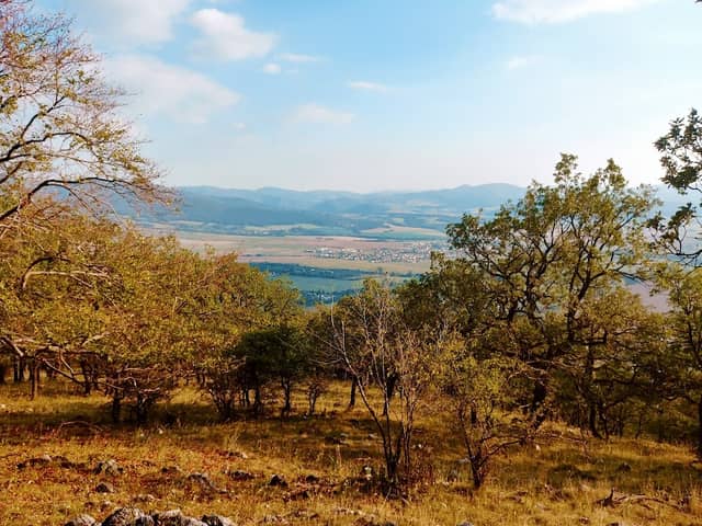 Lubín - Image 1