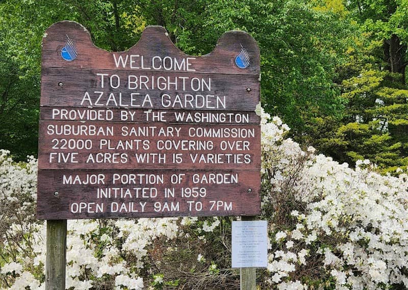 Brighton Dam Azalea Garden (WSSC Water) - Image 1