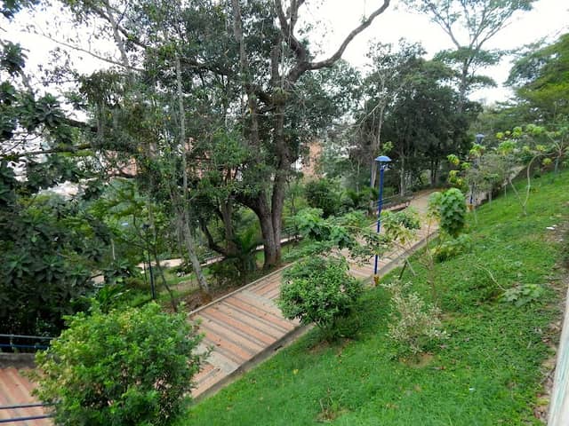 Los Leones Park - Image 1
