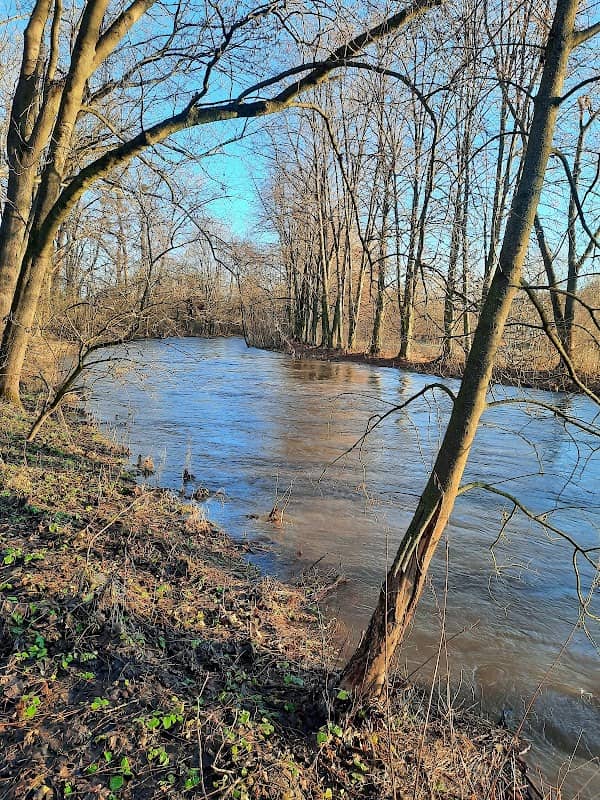 Ornitologická stanice Leštinske tunĕ. - Image 1