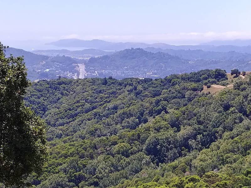 Pacheco Valley Preserve - Image 2