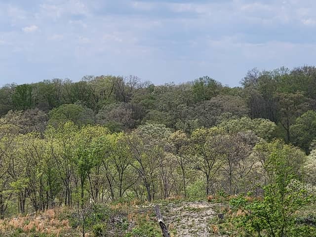 Richland Furnace State Forest - Image 1