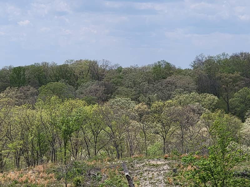 Richland Furnace State Forest - Image 1