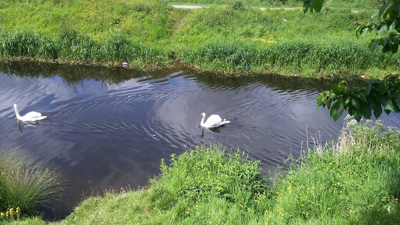 Park Canal - Image 1