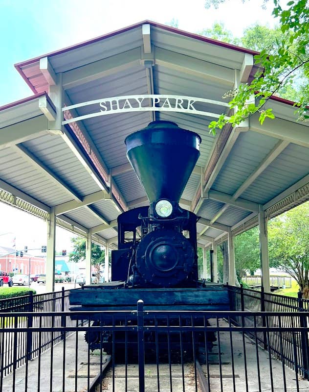 The Shay Locomotive - Image 1