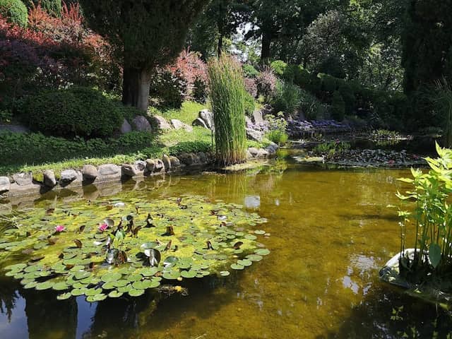 I Quattro Laghetti - Image 2