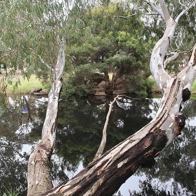 Dolan Reserve - Image 1
