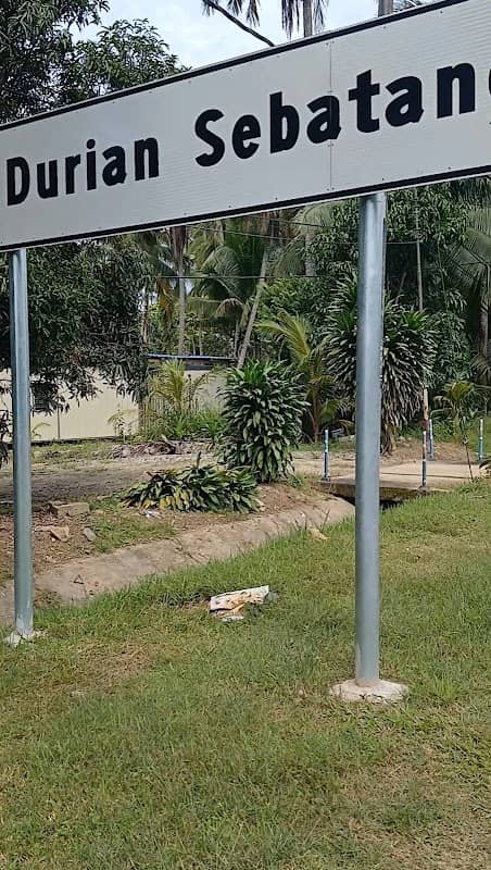 KAMPUNG DURIAN SEBATANG - Image 1
