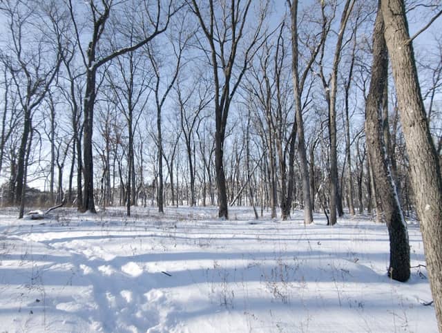 Ice Age National Scenic Trail - Image 3