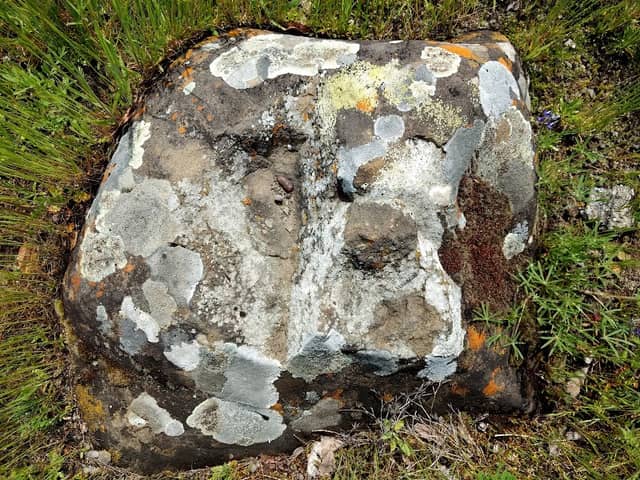Cache Creek Canyon Regional Park - Image 1