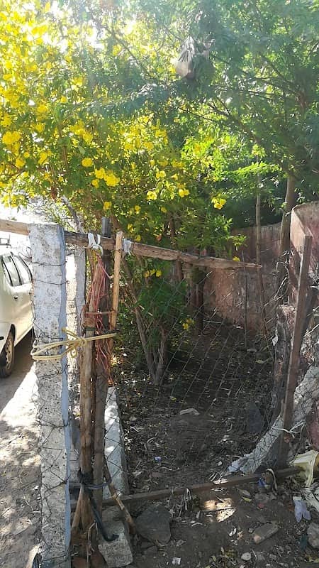 Al Bashir Gardens - Image 1