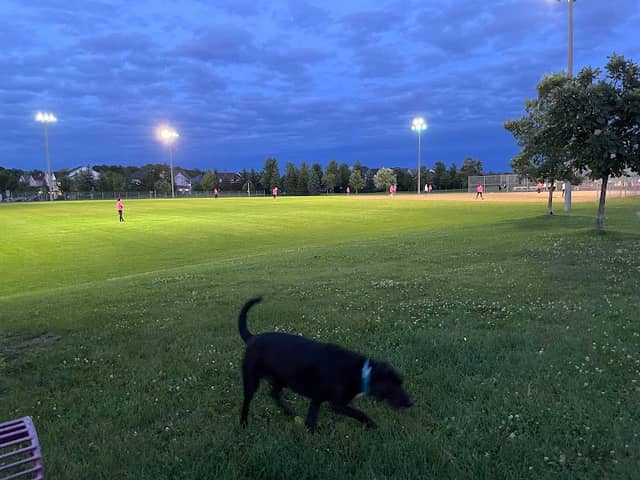 Cachet Park - Image 1