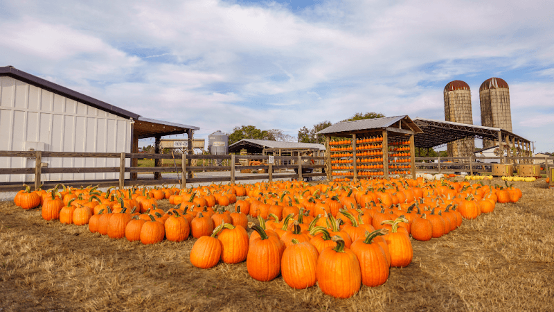 Cagle's Family Farm - Image 1