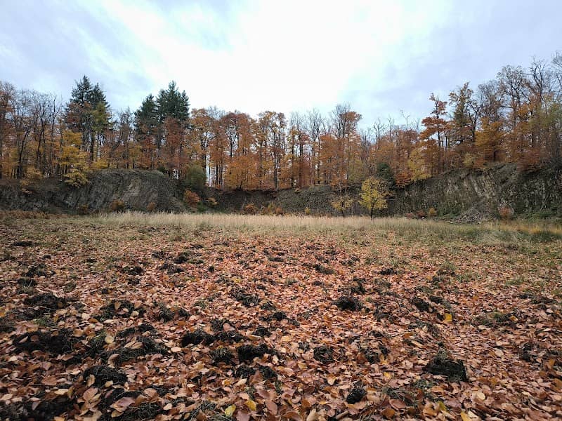Basaltsteinbruch Bad Orb - Image 2